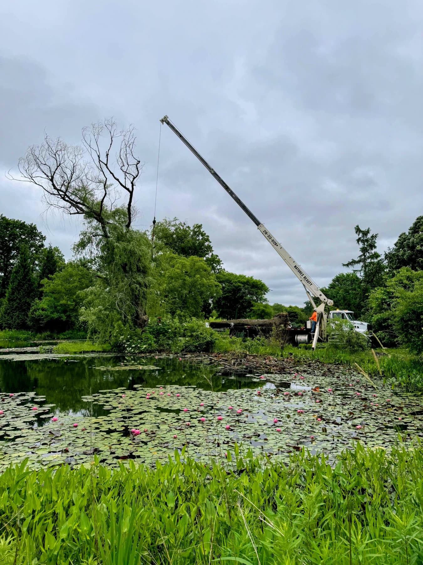 Crane service over pond