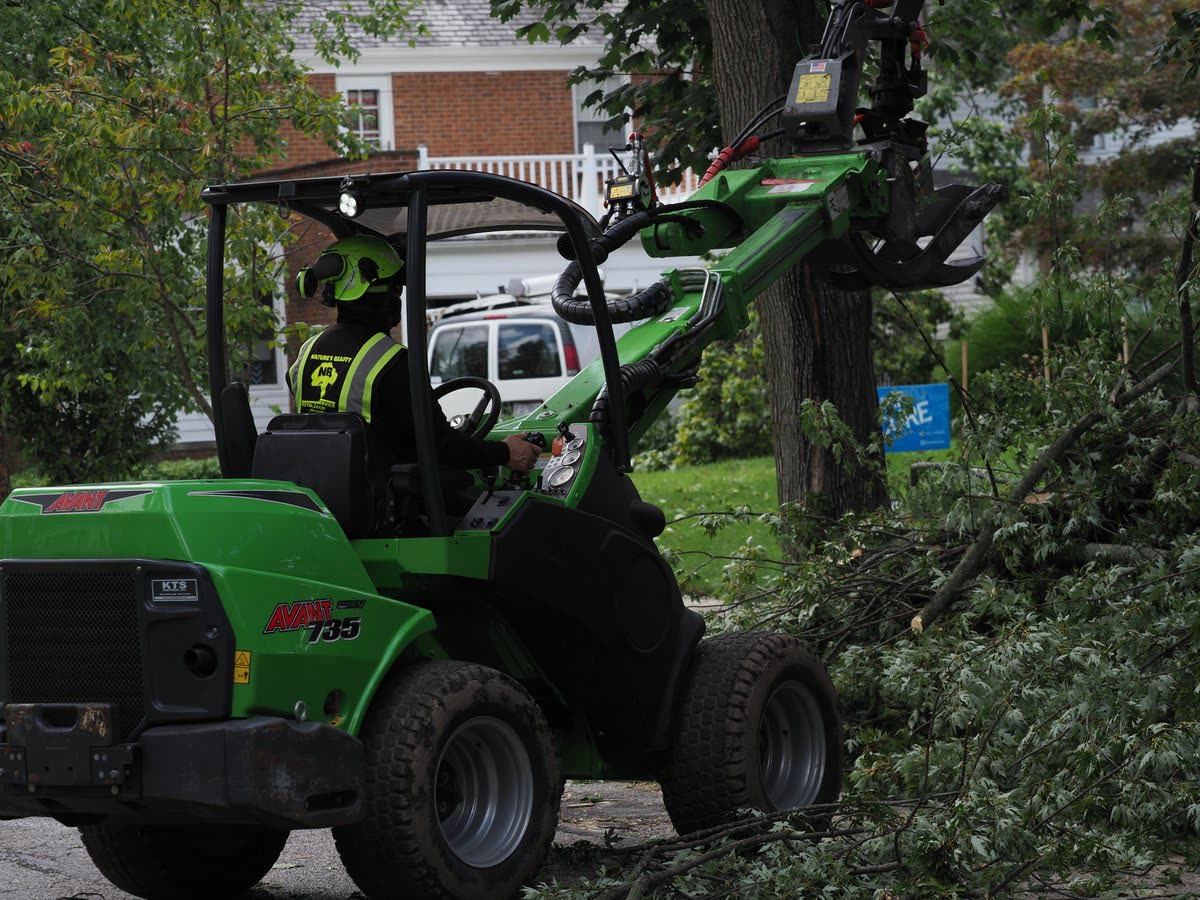Loader clearing trees on job site