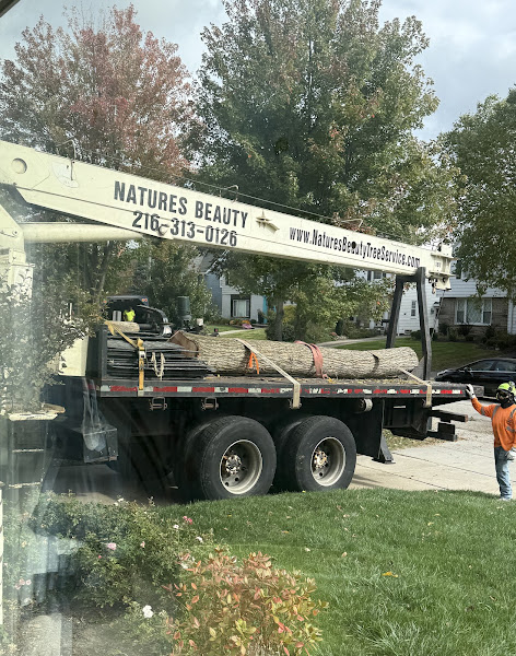Photo from Jennifer G.'s review