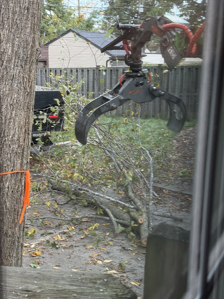 Photo from Jennifer G.'s review